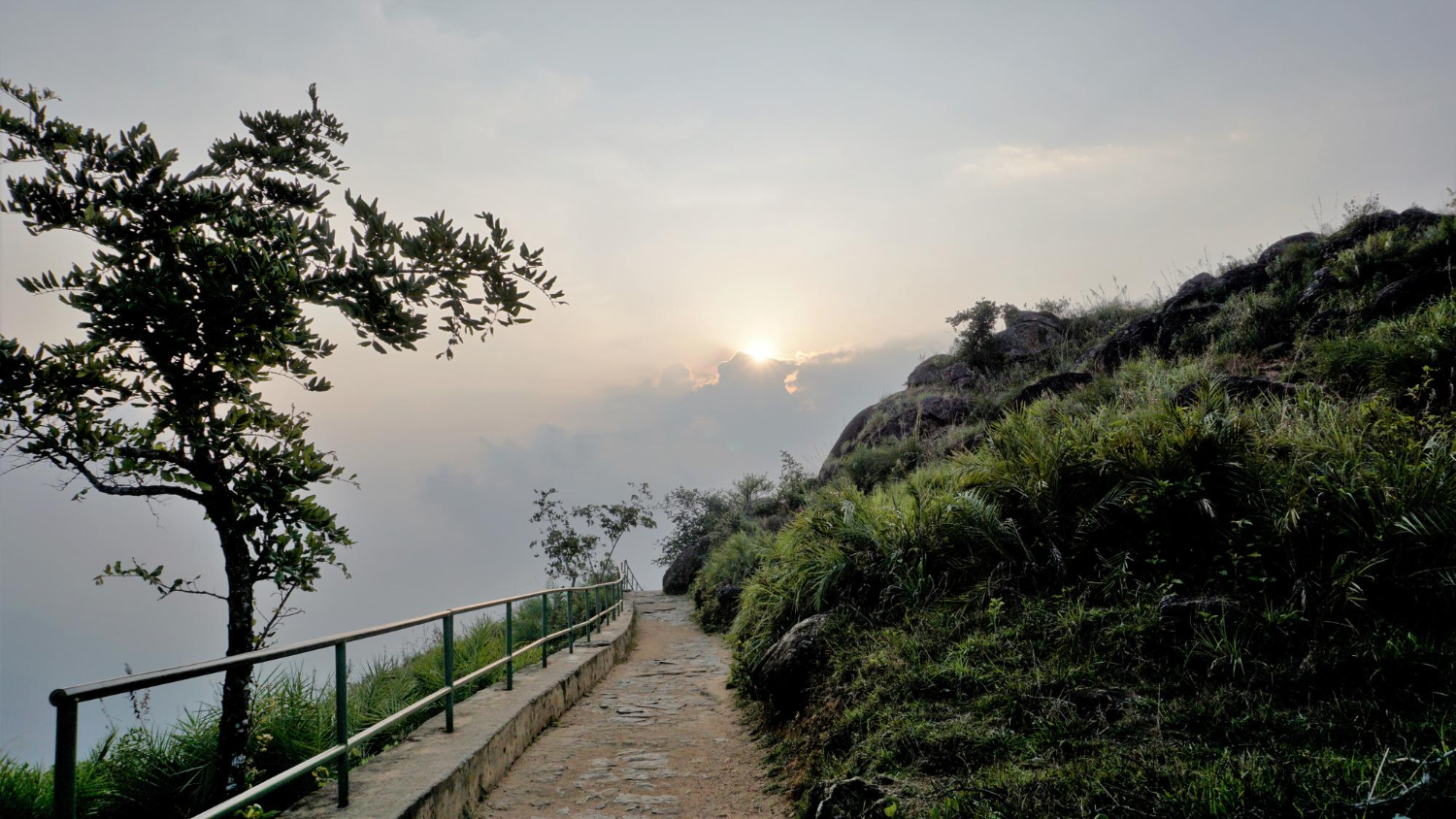 listing-details-carousel