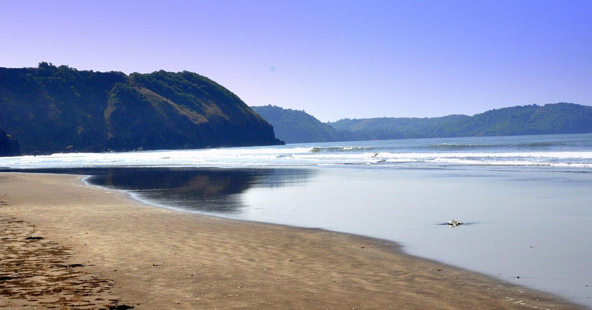 listing-details-carousel