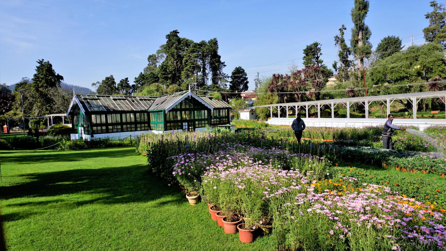 listing-details-carousel