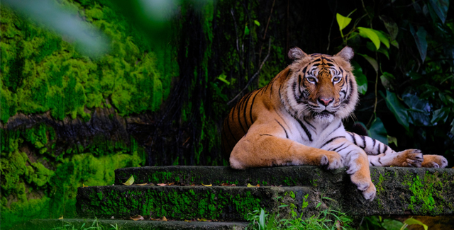 Comfortable group travel option in Kanyakumari tour packages