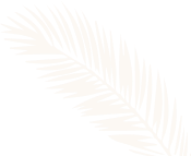 Nearby Travels from Kanyakumari