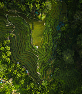 Travel guide services in Kanyakumari